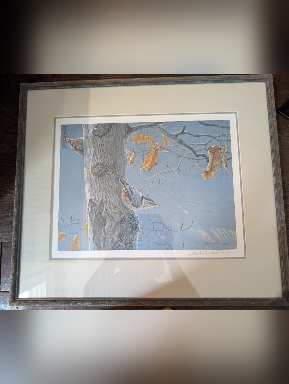 Robert Bateman's "White - Breasted Nuthatch On Beech Tree " framed limited editi